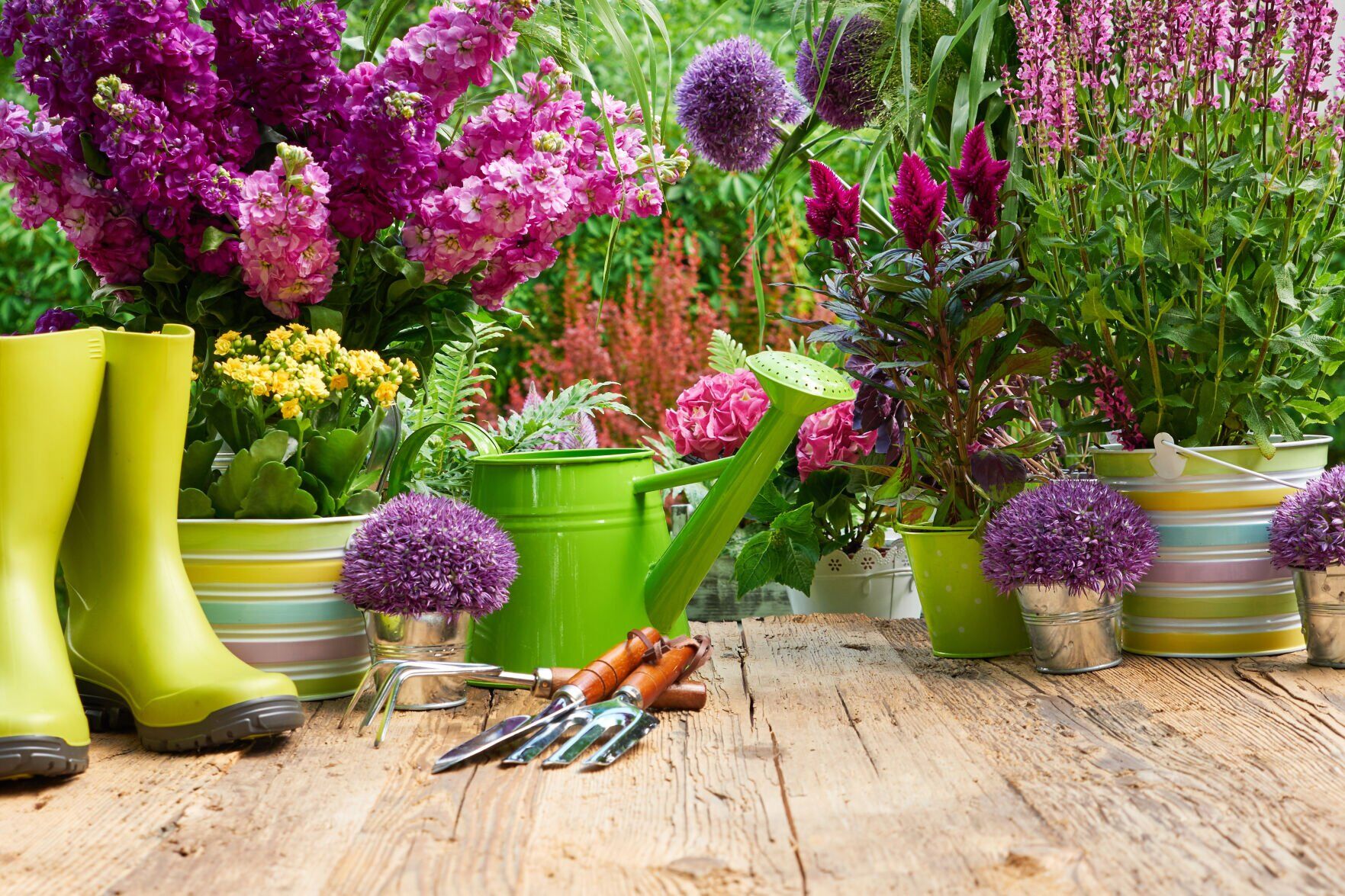 Gartengeräte und Blumen auf der Terrasse im Garten